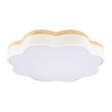 Потолочный светодиодный светильник Loft IT Axel 10225/36 White 1