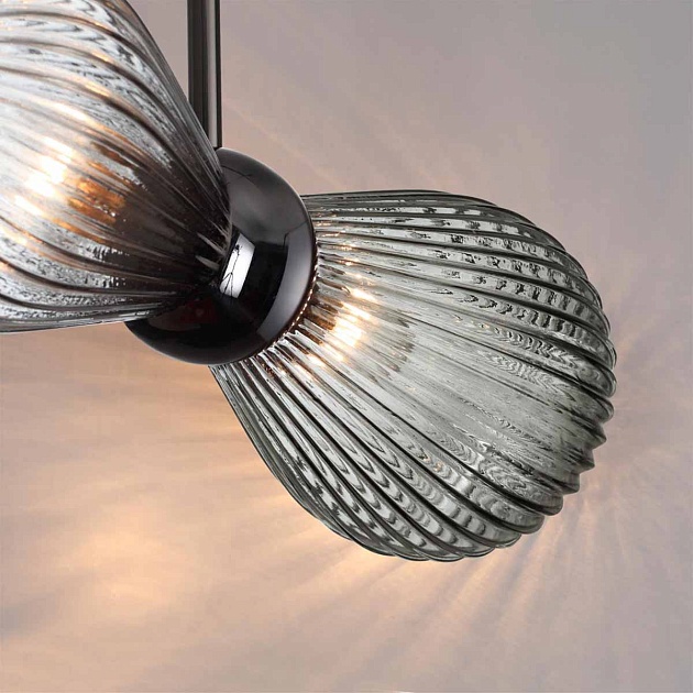 Подвесная люстра Odeon Light Exclusive Elica 5417/2 Фото № 2