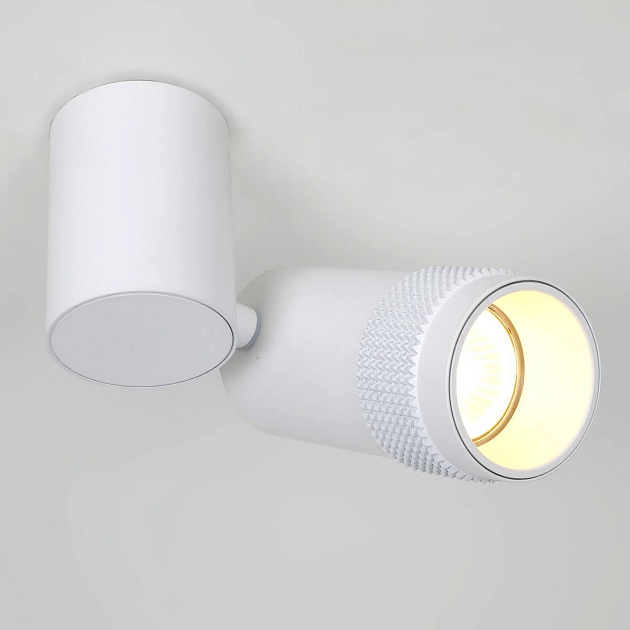 Спот Favourite Kinescope 2453-1U Фото № 3