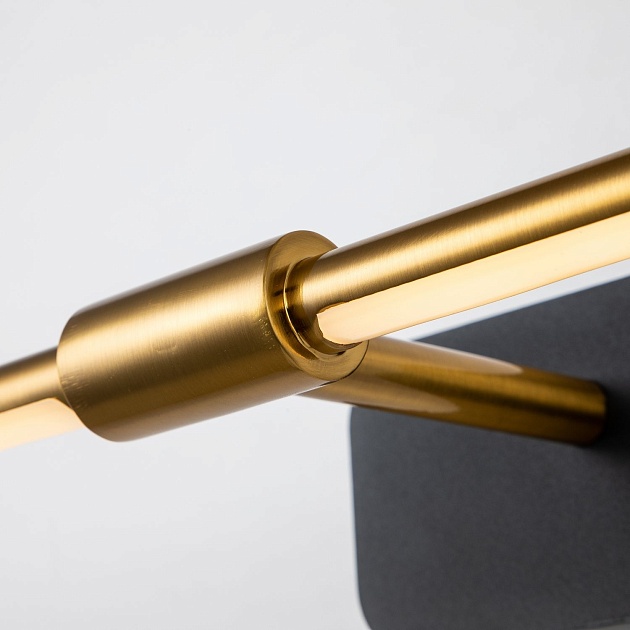 Подсветка для картин Favourite Insight 4016-1W Фото № 6