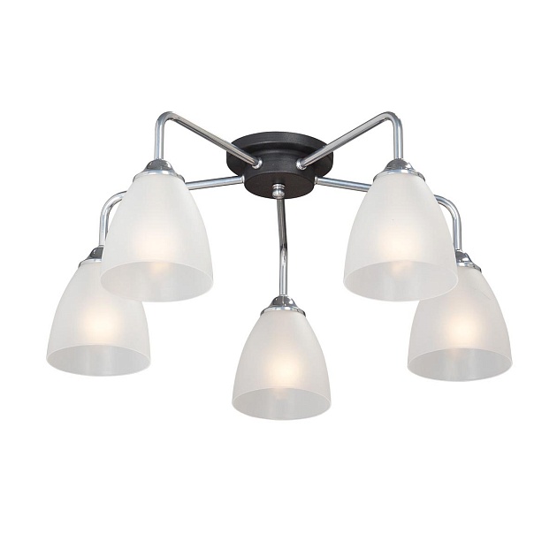 Потолочная люстра Vitaluce V4952-9/5PL изображение Потолочная люстра Vitaluce V4952-9/5PL Фото №