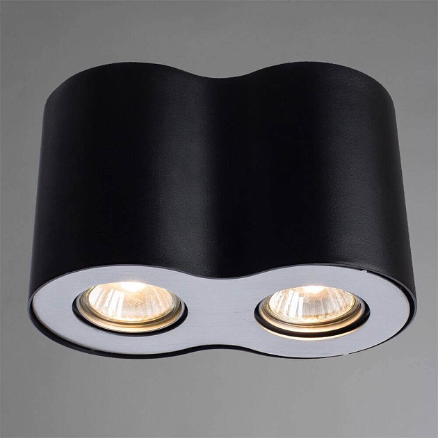 Потолочный светильник Arte Lamp Falcon A5633PL-2BK Фото № 2