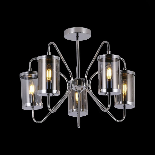 Потолочная люстра Evoluce Valieri SLE102302-05 Фото № 2