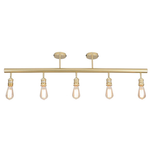 Потолочная люстра Lussole Loft LSP-8169 Фото № 