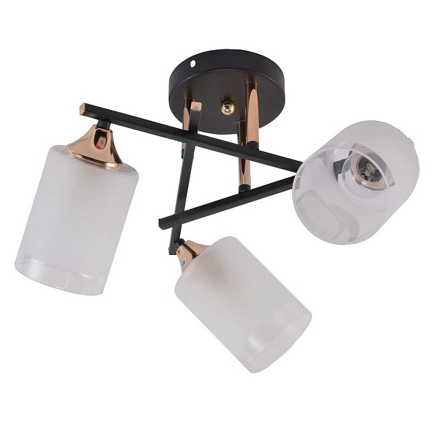 Потолочная люстра Rivoli Fiona 3163-303 Б0059259 Фото № 