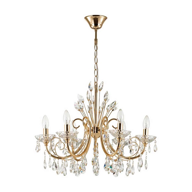 Подвесная люстра Odeon Light Hall Versia 4977/6 Фото № 