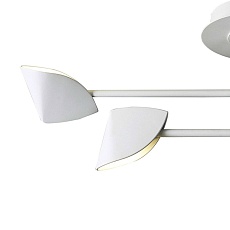 Потолочная светодиодная люстра Mantra Capuccina 7574 2