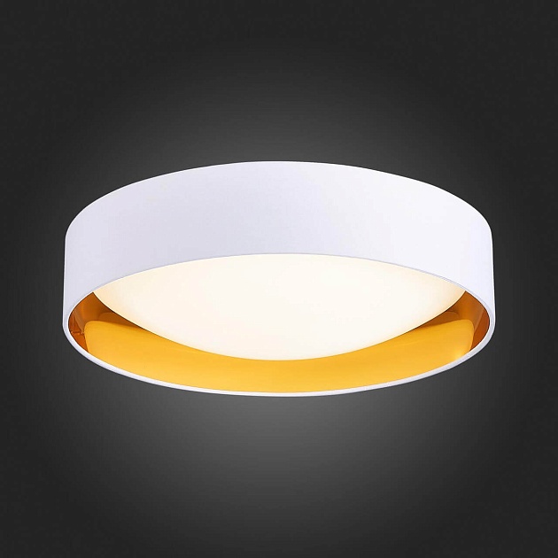 Потолочный светодиодный светильник Evoluce Orbio SLE201122-01 изображение 6 Потолочный светодиодный светильник Evoluce Orbio SLE201122-01 Фото № 6