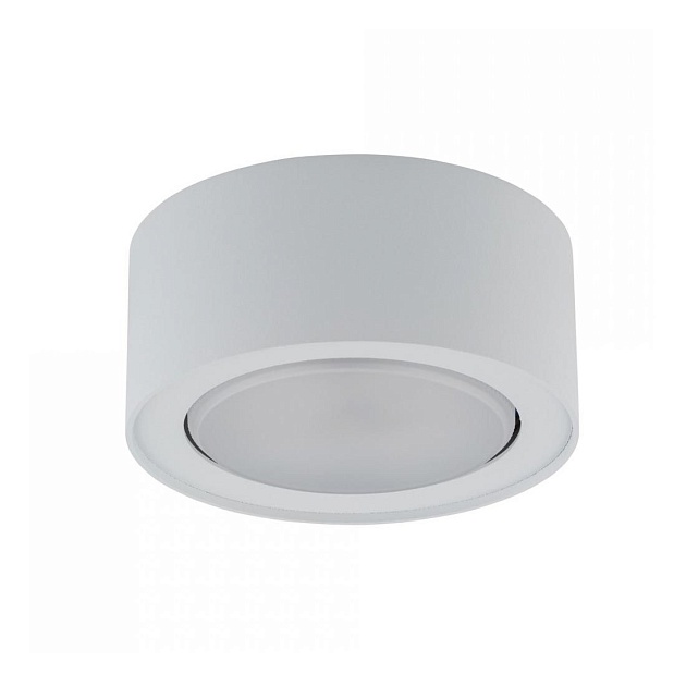 Потолочный светильник Nowodvorski Flea 8202 Фото № 