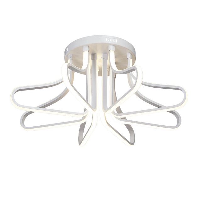 Потолочный светодиодный светильник Vitaluce V4613-0/8PL изображение Потолочный светодиодный светильник Vitaluce V4613-0/8PL Фото №