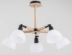 Потолочная люстра Alfa Bushwick 25185 1