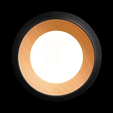 Потолочный светильник Loft IT Folk 10255/350 Black 4