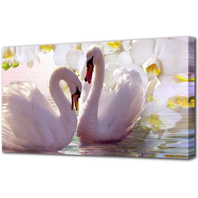 Холст Toplight 50х100х3см TL-H1201 изображение Холст Toplight 50х100х3см TL-H1201 Фото №