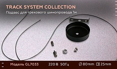 Подвес Ambrella light Track System GL7033 1