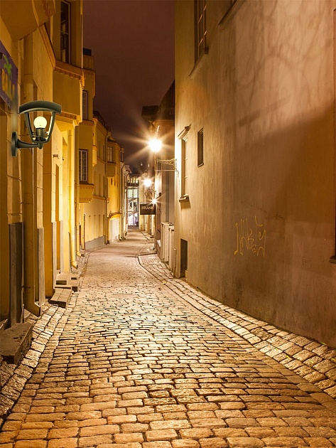 Уличный настенный светильник Apeyron Дели 11-149 Фото № 5