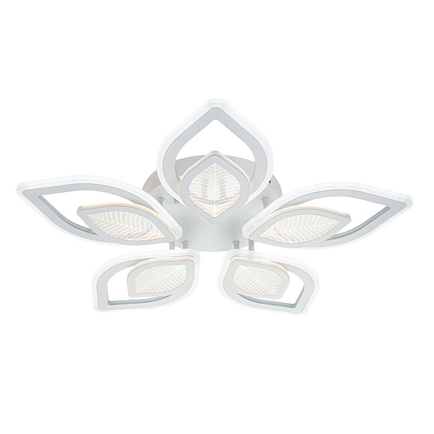 Потолочная светодиодная люстра Escada Anise 10288/10LED изображение 5 Потолочная светодиодная люстра Escada Anise 10288/10LED Фото № 5