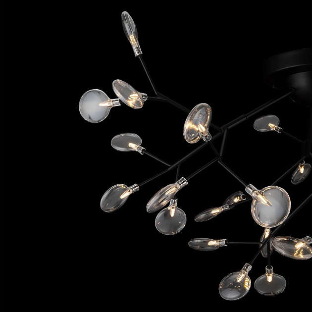 Потолочная люстра Freya Florencia FR5049CL-36B Фото № 6