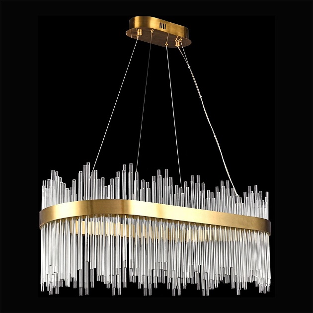 Подвесная светодиодная люстра Lussole Conecuh LSP-8622 Фото № 