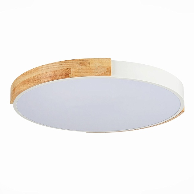 Потолочный сетодиодный светильник Evoluce Delia SLE201352-01 изображение Потолочный сетодиодный светильник Evoluce Delia SLE201352-01 Фото №