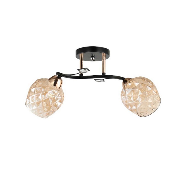 Потолочный светильник ЭкономСвет 12213/2BK+FGD AMB Фото № 