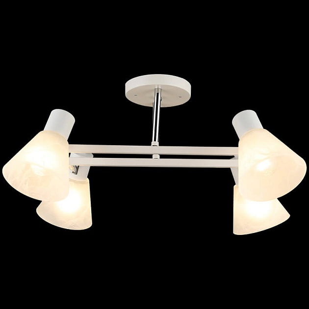 Спот Reluce 04771-0.8-04 Фото № 4