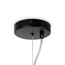 Подвесная люстра Maytoni Dallas MOD545PL-24B 1