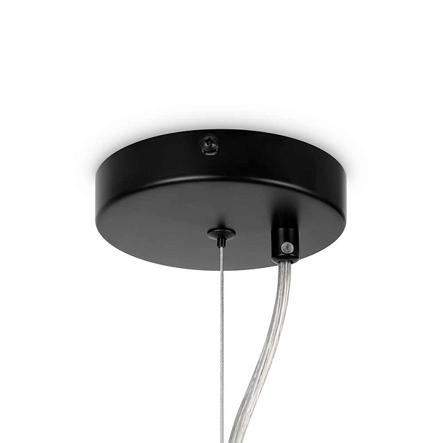 Подвесная люстра Maytoni Dallas MOD545PL-24B изображение 2 Подвесная люстра Maytoni Dallas MOD545PL-24B Фото № 2