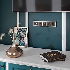 Накладка Werkel для TV розетки оконечной бронзовый W1193012 4690389161810 1