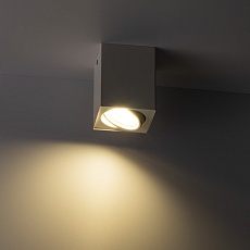 Накладной потолочный светильник Ritter Arton 51409 1 1