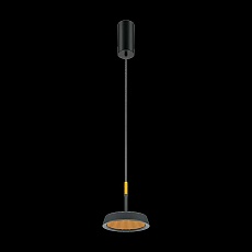 Подвесной светодиодный светильник Maytoni El MOD041PL-L15GB3K 4