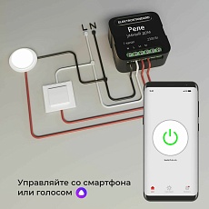 Реле Wi-Fi Elektrostandard 76006/00 4690389185069 5