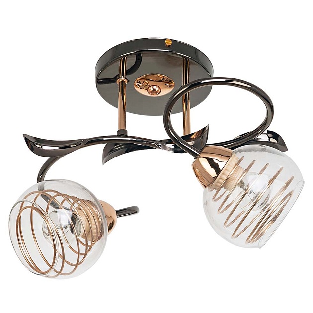 Потолочный светильник ЭкономСвет 70346/2BK+GD CL изображение Потолочный светильник ЭкономСвет 70346/2BK+GD CL Фото №