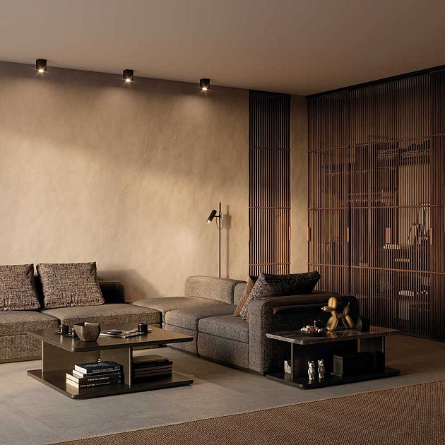 Потолочный светильник Maytoni Alfa C017CL-01B Фото № 5