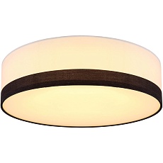 Потолочный светодиодный светильник Globo Maggy 15385D1