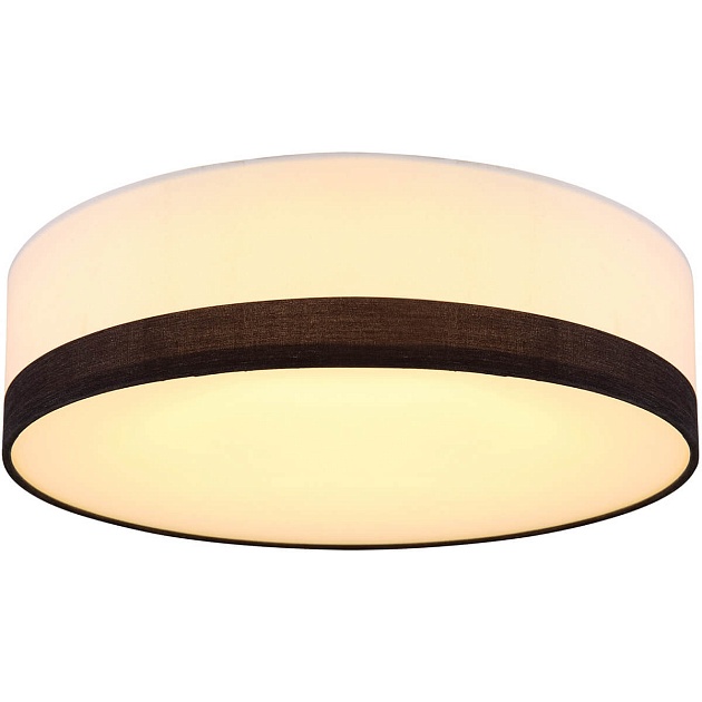 Потолочный светодиодный светильник Globo Maggy 15385D1 изображение Потолочный светодиодный светильник Globo Maggy 15385D1 Фото №