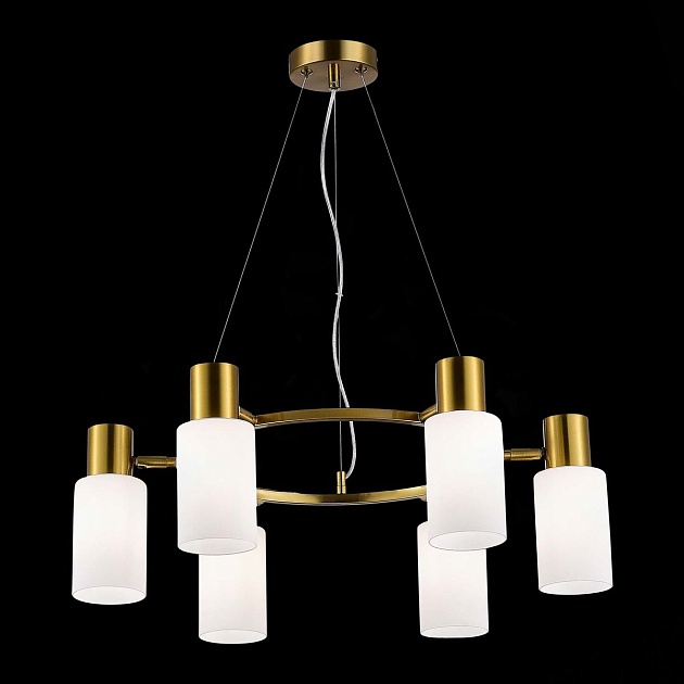 Подвесная люстра Evoluce Gessi SLE1139-303-06 Фото № 5