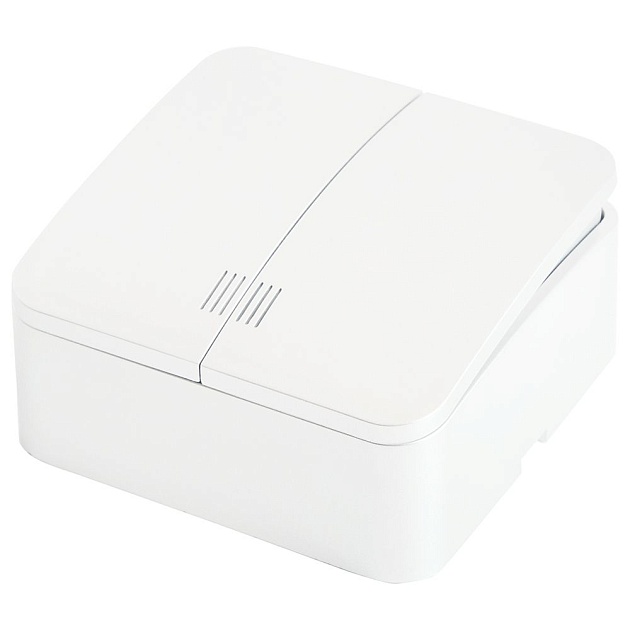 Выключатель двухклавишный Stekker белый MSW10-21-01 49290 изображение Выключатель двухклавишный Stekker белый MSW10-21-01 49290 Фото №