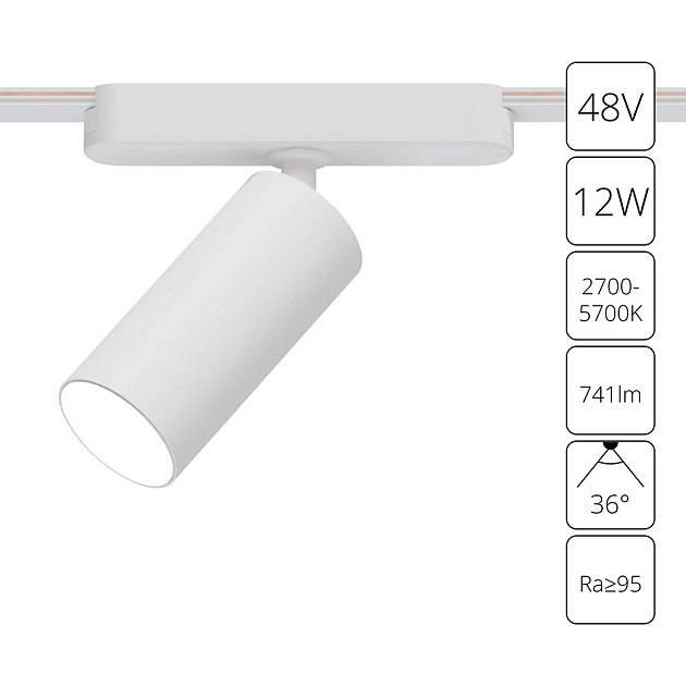 Трековый светодиодный светильник Arte Lamp Rapid A2958PL-1WH Фото № 