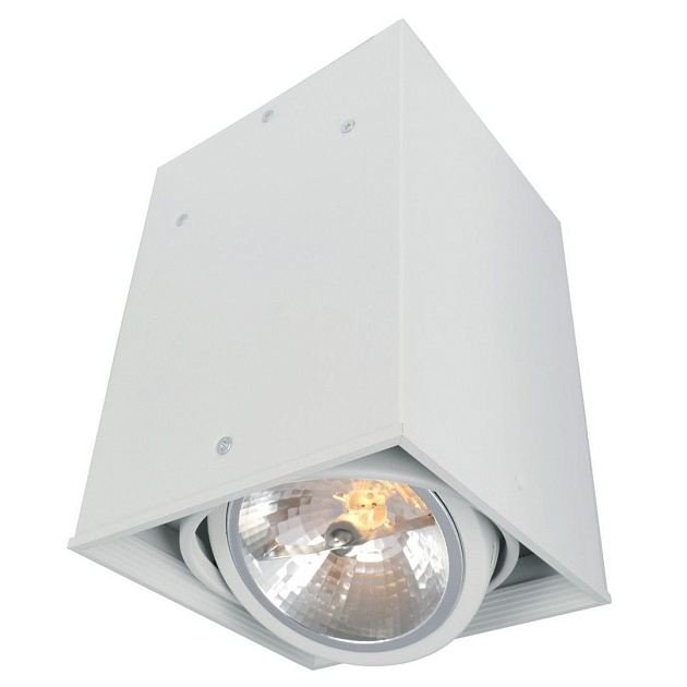 Потолочный светильник Arte Lamp Cardani A5936PL-1WH Фото № 