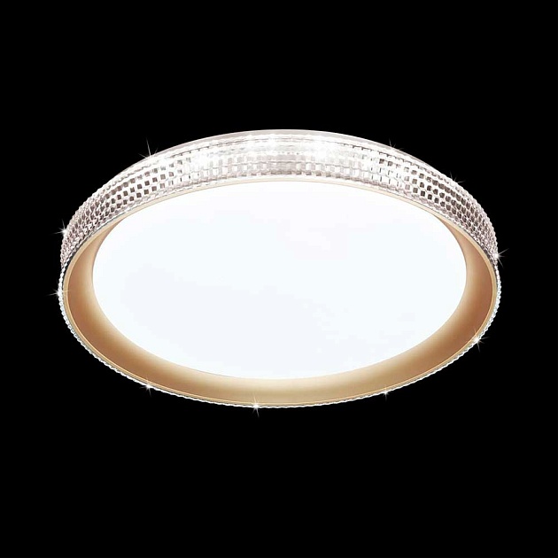 Настенно-потолочный светодиодный светильник Sonex Pale Shiny 3054/EL Фото № 5