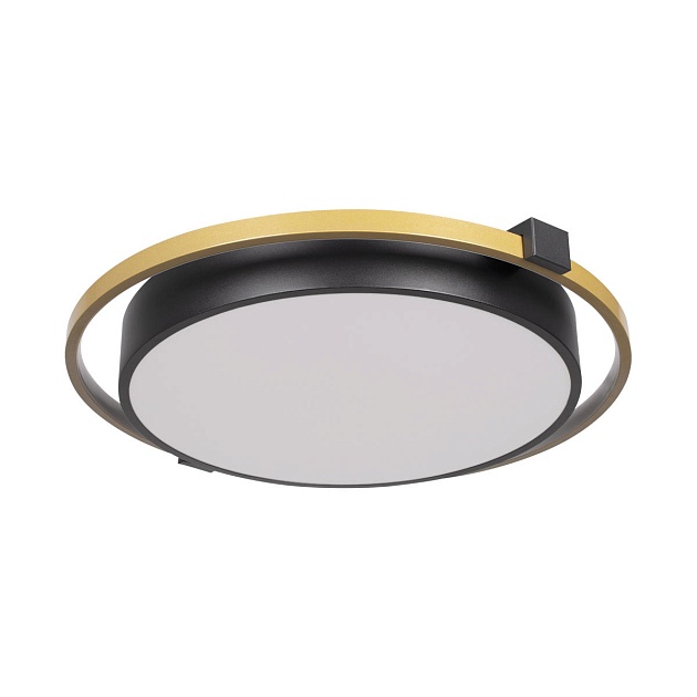 Потолочный светодиодный светильник Loft IT Mike 10170 изображение Потолочный светодиодный светильник Loft IT Mike 10170 Фото №