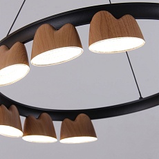 Подвесная светодиодная люстра Favourite Interline 4266-9P 2