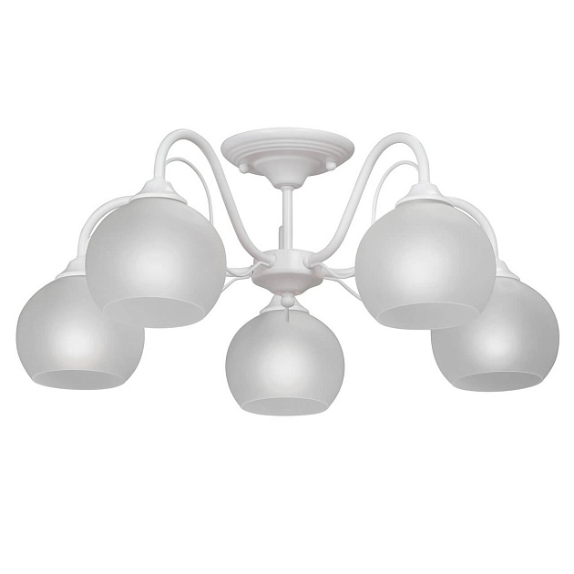 Потолочная люстра Vitaluce V3948-0/5PL изображение Потолочная люстра Vitaluce V3948-0/5PL Фото №