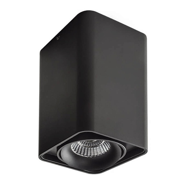 Потолочный светильник Lightstar Monocco 212537 Фото № 