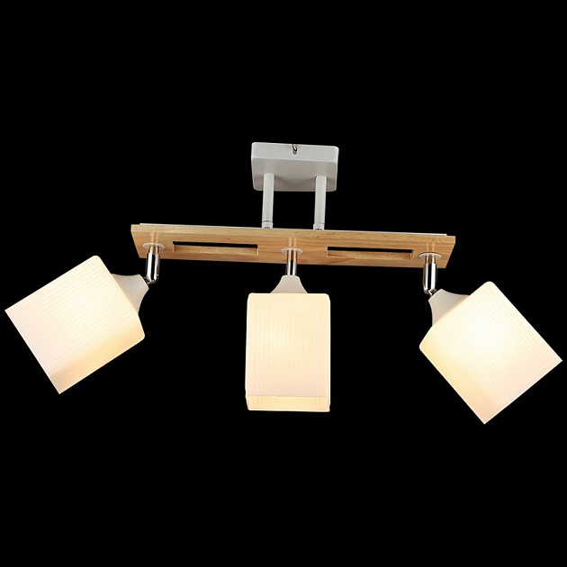 Спот Reluce 04717-0.3-03 Фото № 5