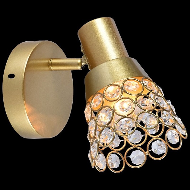 Спот Reluce 05954-0.8-01 Gold Фото № 3