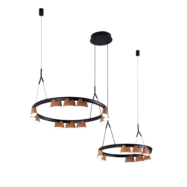 Подвесная светодиодная люстра Favourite Interline 4266-21P изображение 9 Подвесная светодиодная люстра Favourite Interline 4266-21P Фото № 9