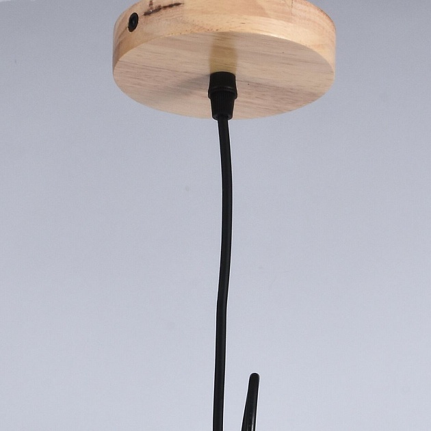 Подвесной светильник Illumico IL1011-1P-05 BK Фото № 2