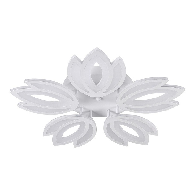 Потолочная светодиодная люстра Natali Kovaltseva Led Lamps 81124 Фото № 