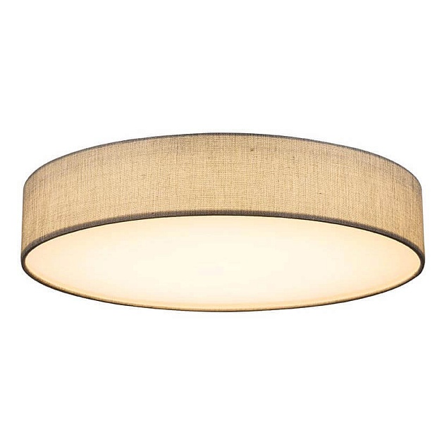 Потолочный светодиодный светильник Globo Paco 15185D4 Фото № 